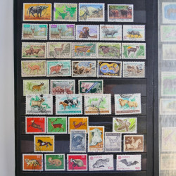 Vrac philatélique de timbres du monde en un carton.