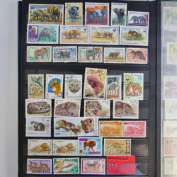 Vrac philatélique de timbres du monde en un carton.