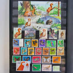 Vrac philatélique de timbres du monde en un carton.