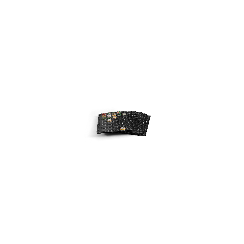 Feuilles noires Compart pour ranger 35 muselets de champagne.