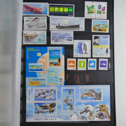 Lot de timbres de T.A.A.F. neufs** 2003-2017.
