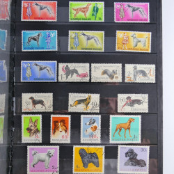 Vrac philatélique de timbres du monde en un carton.