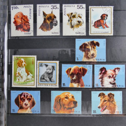 Vrac philatélique de timbres du monde en un carton.