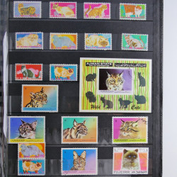 Vrac philatélique de timbres du monde en un carton.