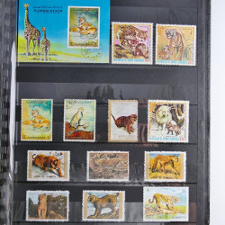Vrac philatélique de timbres du monde en un carton.
