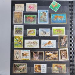 Vrac philatélique de timbres du monde en un carton.