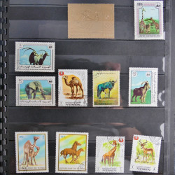 Vrac philatélique de timbres du monde en un carton.