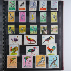 Vrac philatélique de timbres du monde en un carton.