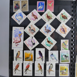 Vrac philatélique de timbres du monde en un carton.