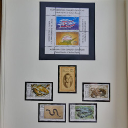Collection timbres de Chypre Turc 1976-2006 neufs** en 2 albums.