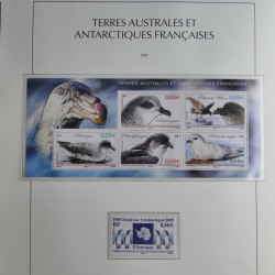 Collection timbres de T.A.A.F. 2000-2009 neufs** complet en un album.