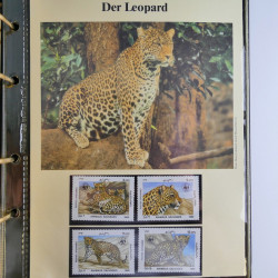 Vrac philatélique de timbres du monde en un carton.