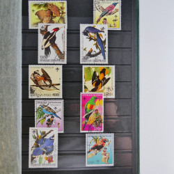 Vrac philatélique de timbres du monde en un carton.