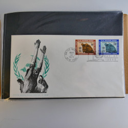 Collection enveloppes FDC timbres des Nations Unies en album.