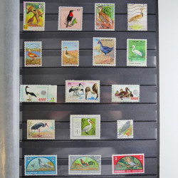 Collection timbres thématiques Oiseaux neufs et oblitérés en album.
