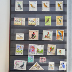 Collection timbres thématiques Oiseaux neufs et oblitérés en album.