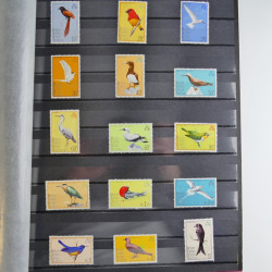 Collection timbres thématiques Oiseaux neufs et oblitérés en album.