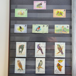 Collection timbres thématiques Oiseaux neufs et oblitérés en album.