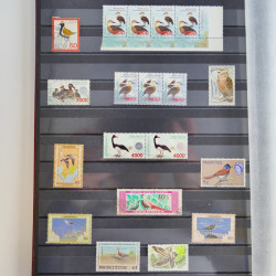 Collection timbres thématiques Oiseaux neufs et oblitérés en album.