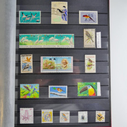 Collection timbres thématiques Oiseaux neufs et oblitérés en album.
