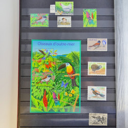 Collection timbres thématiques Oiseaux neufs et oblitérés en album.