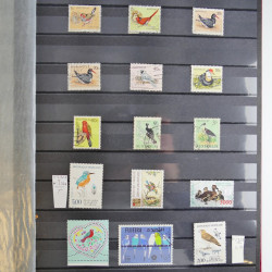 Collection timbres thématiques Oiseaux neufs et oblitérés en album.