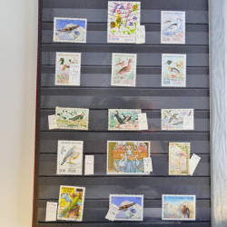 Collection timbres thématiques Oiseaux neufs et oblitérés en album.