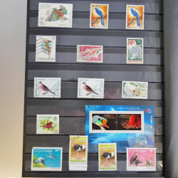 Collection timbres thématiques Oiseaux neufs et oblitérés en album.