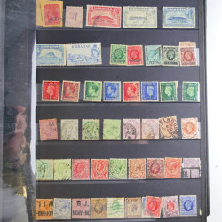 Collection timbres du monde neufs et oblitérés en 8 albums.