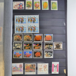 Collection timbres du monde neufs et oblitérés en 8 albums.