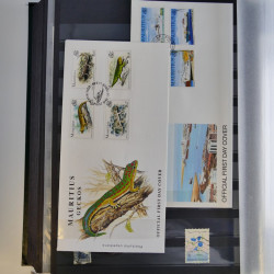 Collection timbres du monde neufs et oblitérés en 8 albums.