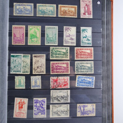 Collection timbres du monde neufs et oblitérés en 8 albums.