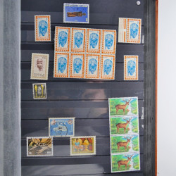 Collection timbres du monde neufs et oblitérés en 8 albums.