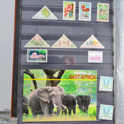 Collection timbres du monde neufs et oblitérés en 8 albums.