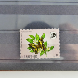 Collection timbres du monde neufs et oblitérés en 8 albums.
