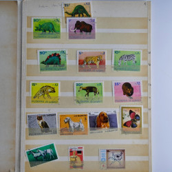 Collection timbres du monde neufs et oblitérés en 8 albums.