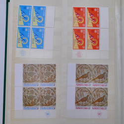 Lot de timbres Nations Unies 1951-1985 neufs en un album.