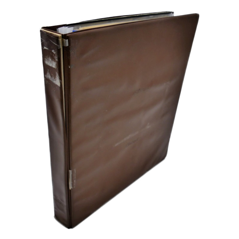 Suisse lot de timbres en feuilles, blocs neufs** et oblitérés en un album.