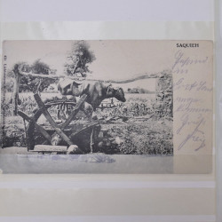Egypte lot de 30 cartes postales 1898-1927 en un album.