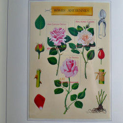 Collection timbres de France 1993-2002 neufs en album lux. Collection timbres de France 1993-2002 neufs en album lux.