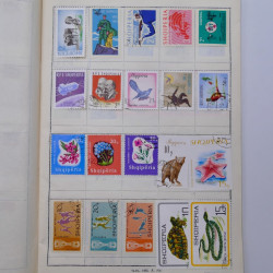 Vrac philatélique de timbres du monde neufs et oblitérés en un carton.