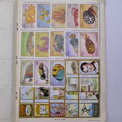 Vrac philatélique de timbres du monde neufs et oblitérés en un carton.