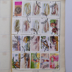 Vrac philatélique de timbres du monde neufs et oblitérés en un carton.