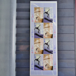 Allemagne lot de 49 carnets de timbres neufs** en un album.