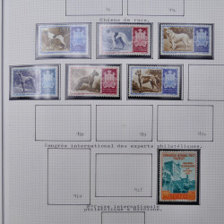 Collection massive timbres d'Europe neufs et oblitérés en un album.