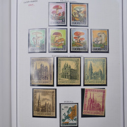 Collection massive timbres d'Europe neufs et oblitérés en un album.