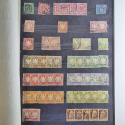 Lot de timbres d'Allemagne neufs et oblitérés en huit albums.