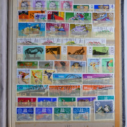 Lot de timbres d'Allemagne neufs et oblitérés en huit albums.