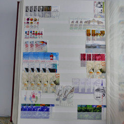 Lot de timbres d'Allemagne neufs et oblitérés en huit albums.