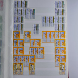 Lot de timbres d'Allemagne neufs et oblitérés en huit albums.